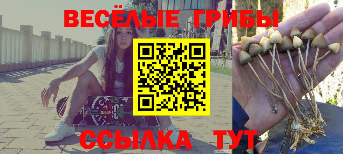 Псилоцибиновые грибы мухоморы Ступино